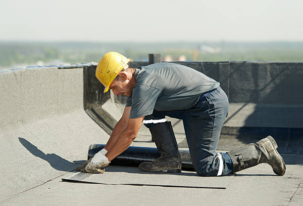 Best Insulation Maintenance and Repair in Wayne, WV